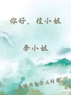 你好，桂小姐