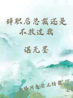 辭職后總裁還是不放過我