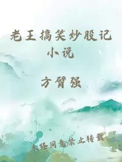 老王搞笑炒股記小說